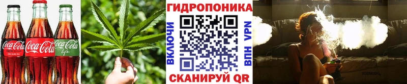 где купить Казань Печенье с ТГК конопля