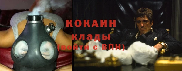 прущие грибы Балахна