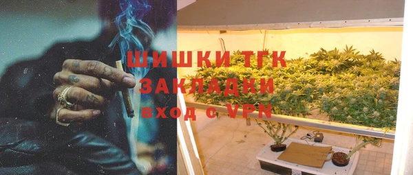 прущие грибы Балахна
